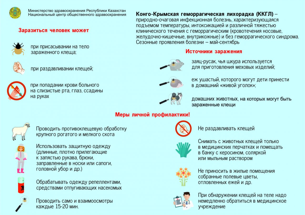 Можно ли заразиться в общественном туалете