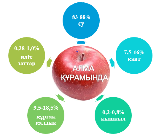 Алма тайтыбаева