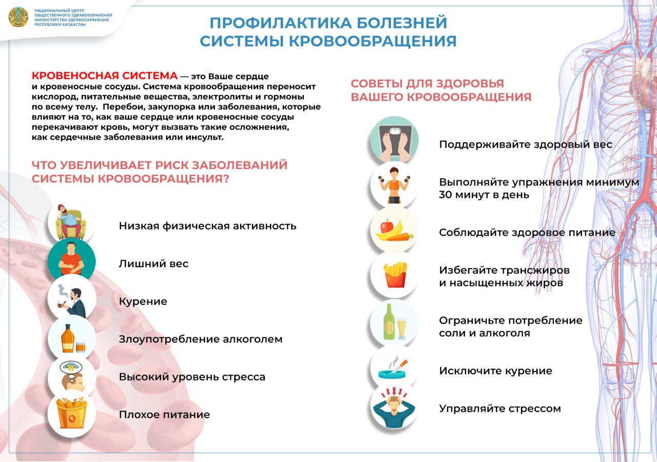 Диеты при заболеваниях органов кровообращения без спорта Диеты при заболеваниях органов кровообращения без спорта