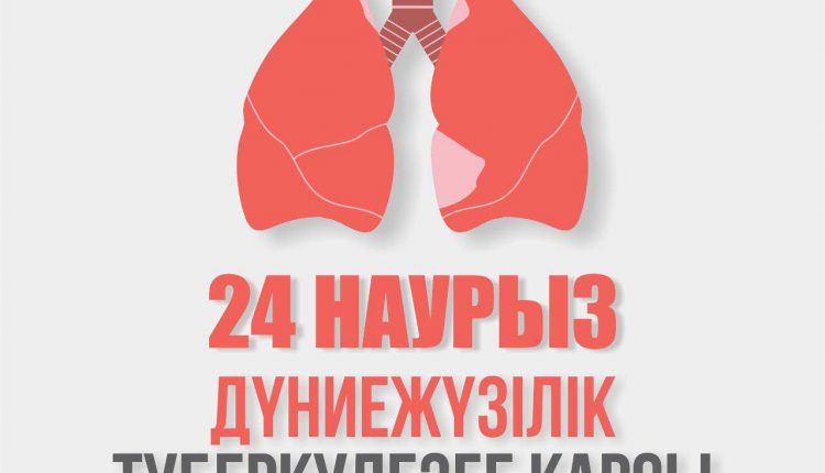 24-3-kk