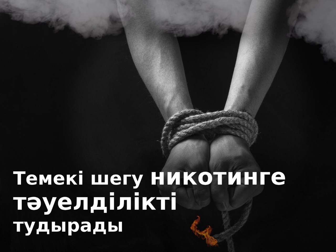 Страшные Картинки О Вреде Курения